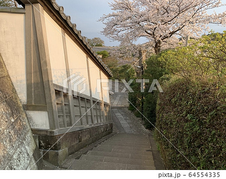 鎌倉の風景 / Kamakura landscape 64554335