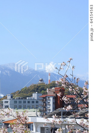 春の川之江城を北東から南西方向に見る 春の川之江城を北東から南西方向に見る 64554563