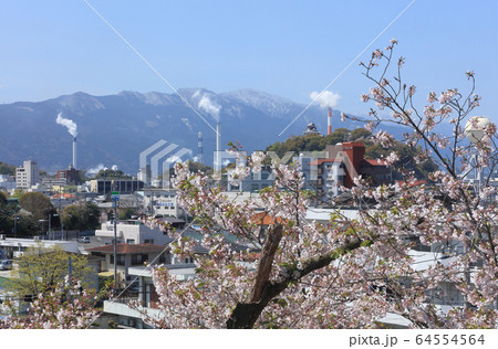 春の川之江城を北東から南西方向に見る 64554564