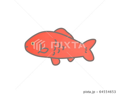 金魚　イラスト　シンプル 64554653