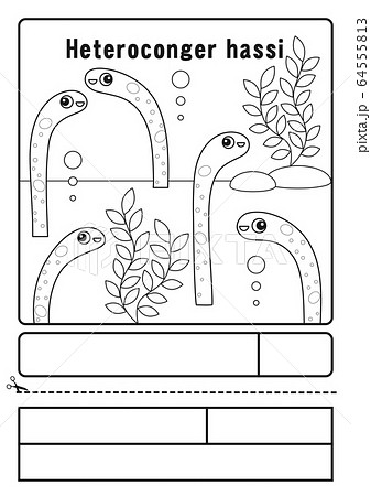 チンアナゴ ぬりえ 応募用紙のイラスト素材