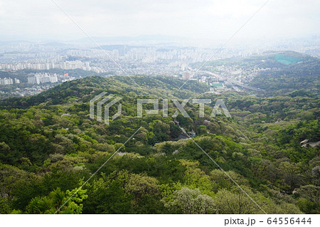 松 岩山 緑 64556444