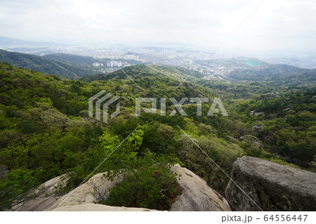 松 岩山 緑 64556447