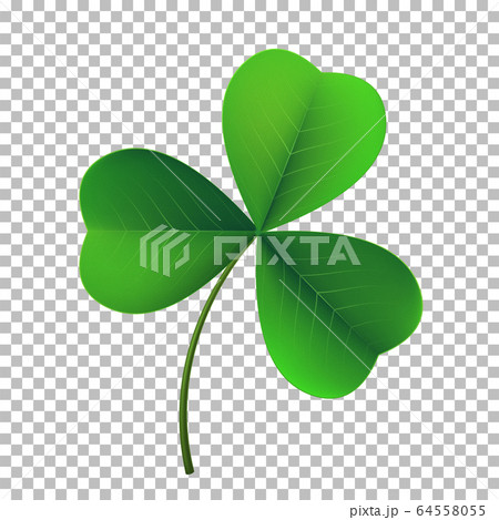 Vector three-leaf shamrock clover icon. Lucky 64558055