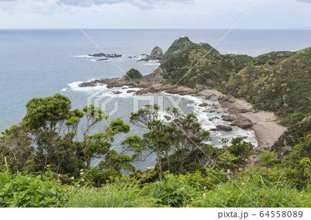 佐多岬灯台 64558089
