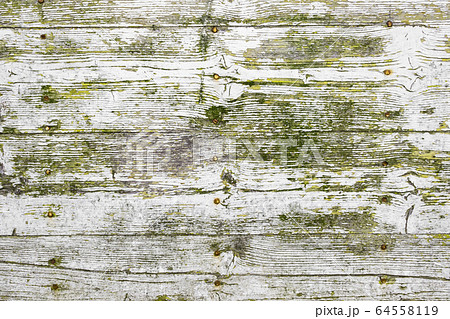 White wood texture White wood texture 64558119