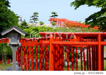 高山稲荷神社 高山稲荷神社 64558600