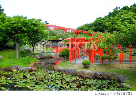 高山稲荷神社 高山稲荷神社 64558705