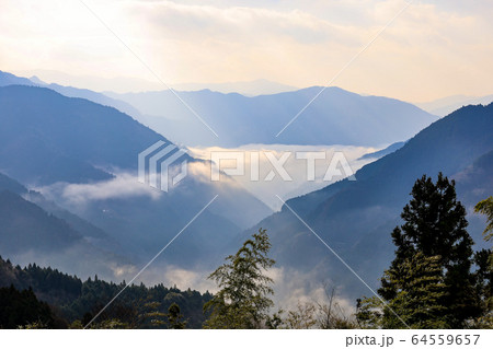 雲海　西祖谷山村の山並み 64559657