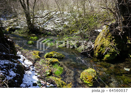 岩泉の名水 大清水 岩泉の名水 大清水 64560037