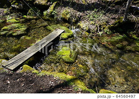 岩泉の名水　大清水 64560497