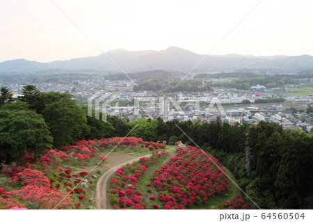 つつじ公園の夕景 64560504
