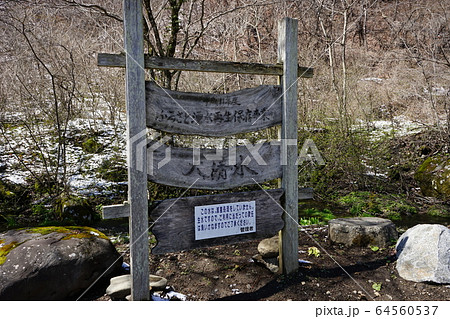 岩泉の名水 大清水 岩泉の名水 大清水 64560537