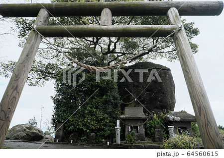 牟礼岡自然遊歩道の山の中にある堂々とした鳥居 64560615