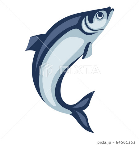 Illustration of herring fish. Pacific sardine. 64561353