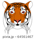 tiger head with stones instead of eyes 64561467