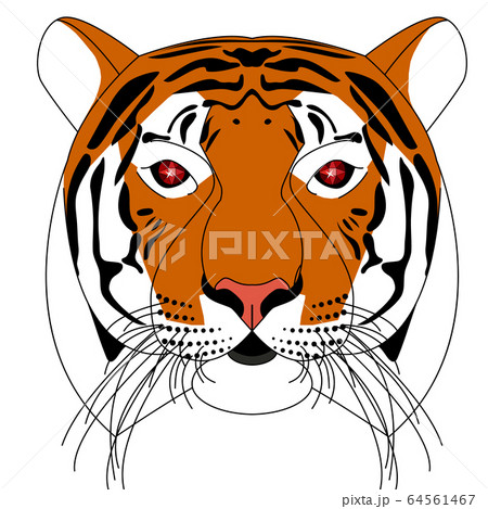 tiger head with stones instead of eyes tiger head with stones instead of eyes 64561467