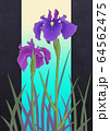 花菖蒲 64562475