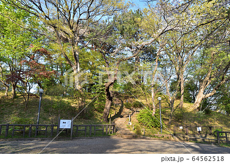 田園調布・多摩川台公園の宝莱山古墳 田園調布・多摩川台公園の宝莱山古墳 64562518