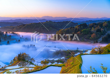 初夏の星峠の棚田 朝の風景 雲海 【新潟県】 初夏の星峠の棚田 朝の風景 雲海 【新潟県】 64563270