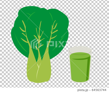 Pak choi vegetables vector illustration Pak choi vegetables vector illustration 64563744