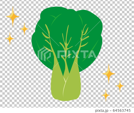 チンゲン菜　野菜　ベクター　イラスト 64563745
