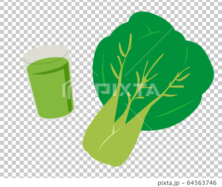 Pak choi vegetables vector illustration 64563746