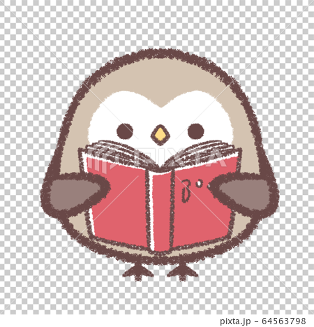 Owl Reading Stock Illustration