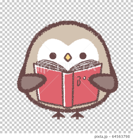 Owl Reading Stock Illustration