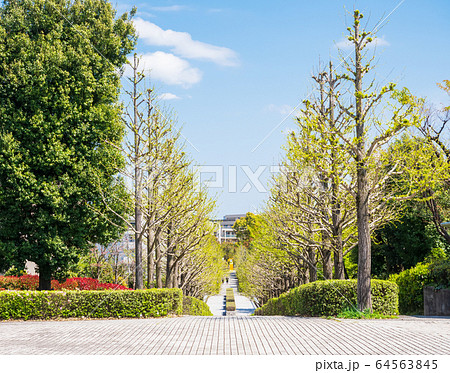 住宅街・暮らし・街イメージ 64563845