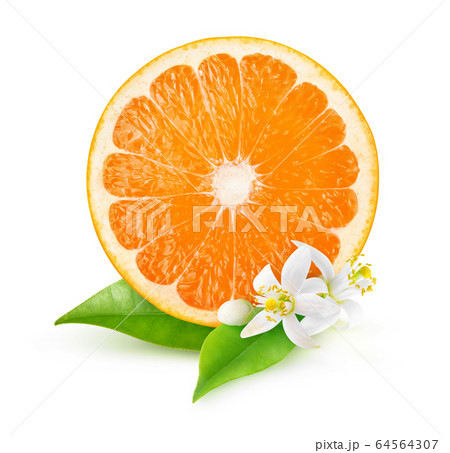 Isolated slice of orange and orange flowers Isolated slice of orange and orange flowers 64564307