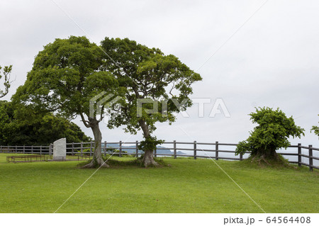 禄剛埼灯台（通称:狼煙の灯台） 64564408