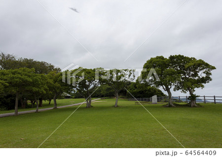 禄剛埼灯台（通称:狼煙の灯台） 64564409