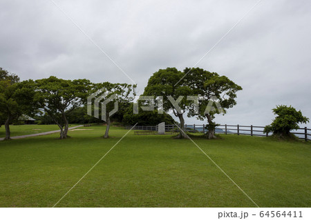 禄剛埼灯台（通称:狼煙の灯台） 64564411