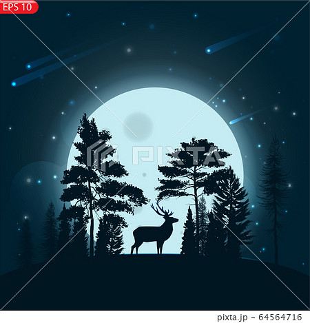 Silhouette of an animal with moonlight and stars. 64564716