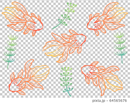 Goldfish and waterweed line drawing illustration set (gradient) 64565676
