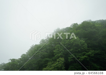 霧中の写真素材 [64566108] - PIXTA