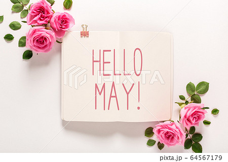 Hello May message with roses and leavesの写真素材 [64567179] - PIXTA