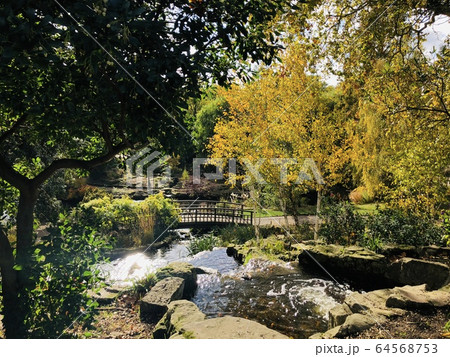 イギリスの景色や風景 イギリスの景色や風景 64568753