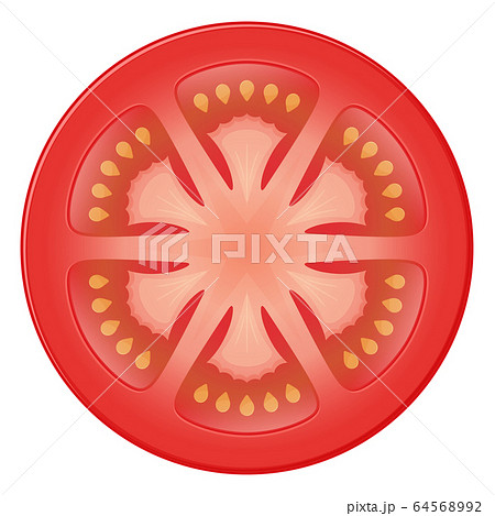 トマトのイラスト 横 断面のイラスト素材