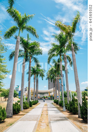 Central Park Station and palm trees in Kaohsiung, Taiwan Central Park Station and palm trees in Kaohsiung, Taiwan 64569302