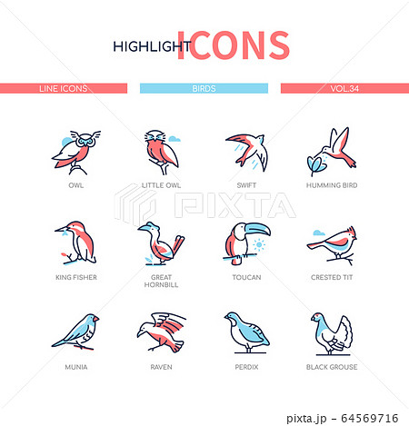 Bird species - modern line design style icons set 64569716