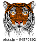 zenart style tiger head with moustache,color drawing  for print 64570892