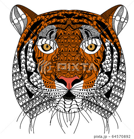 zenart style tiger head with moustache,color drawing  for print 64570892