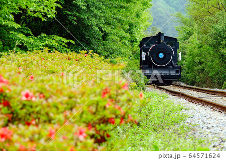 蒸気機関車 蒸気 列車 64571624