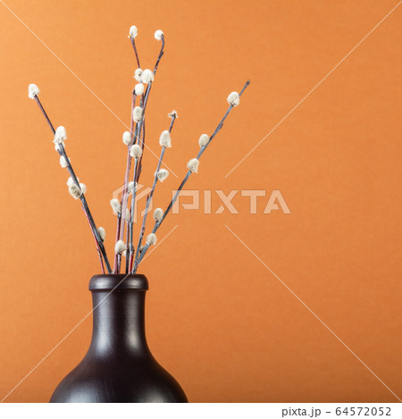 few pussy-willow twigs in ceramic bottle on brown 64572052