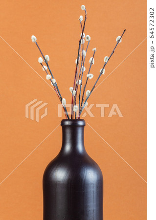 pussy-willow twigs in ceramic bottle on brown 64572302