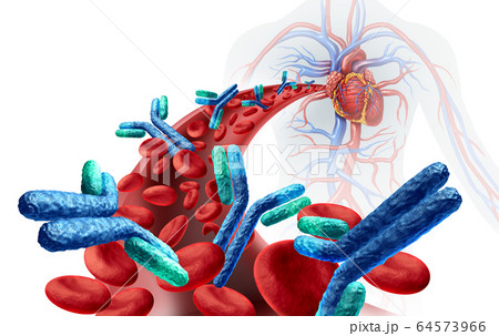 Antibodies In Blood 64573966