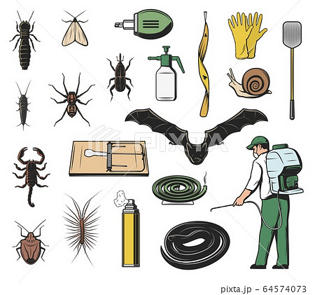 Pest insect, insecticide and exterminator icons 64574073