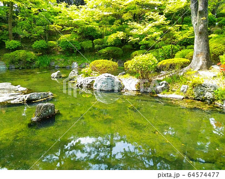 庭園の池 庭園の池 64574477